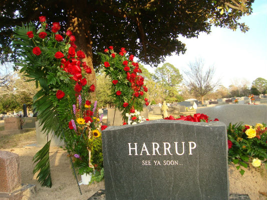 Paul Harrup tribute by Fred Head