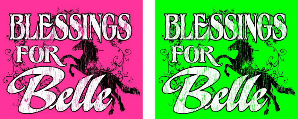 Blessings for Belle t-shirts available
