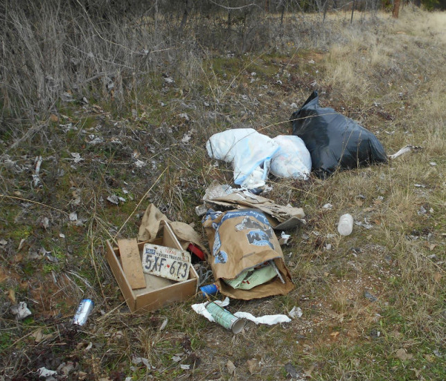 Illegal dump site in Henderson County. (Fire Marshal file photo)