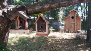 latest birdhouses