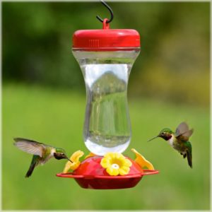 perky-pet-top-fill-glass-hummingbird-feeder